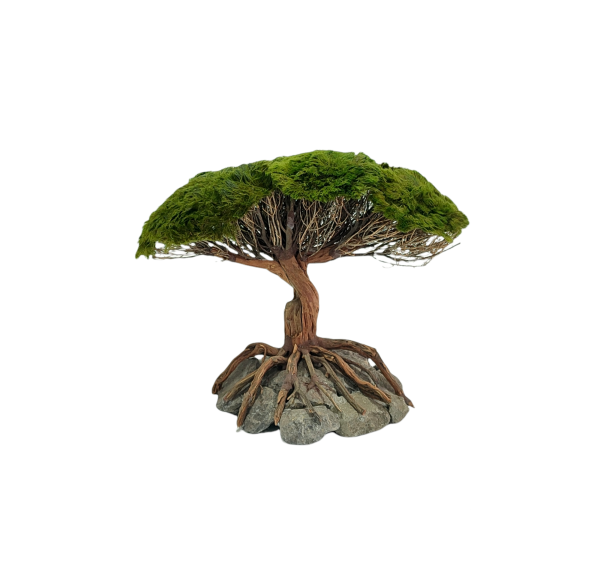 Marimo Special Tree Figure